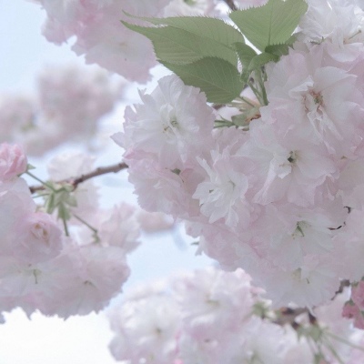 兽设配饰设计灵感兽圈社群